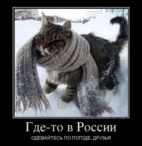 Холодно одевайся теплее