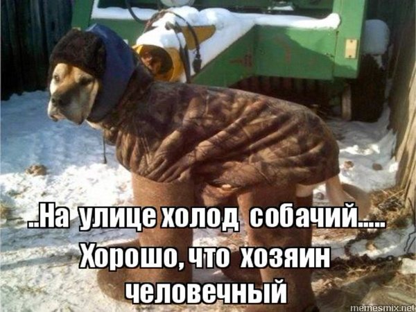 Шутки про холод