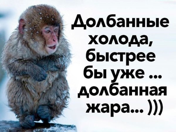 Долбаные холода скорее бы жара