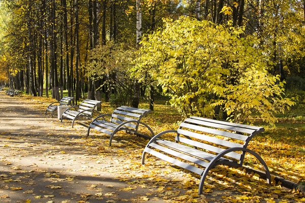 Осенняя Йошкар-Ола