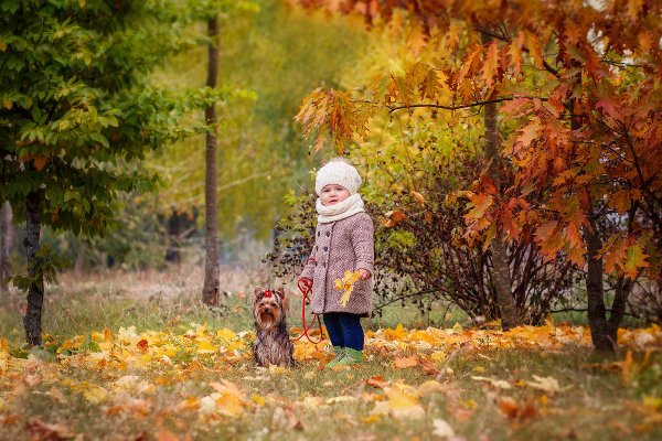 Осенняя прогулка