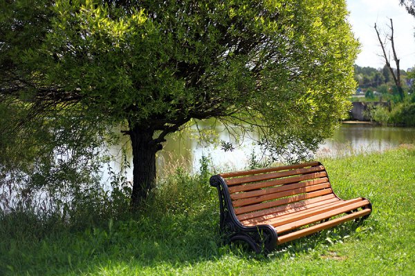 Пруд Тимонино лавочки