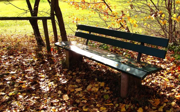 Старая скамейка в парке