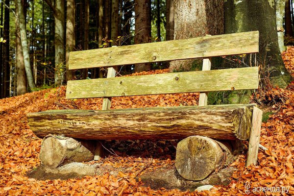 Деревянная скамейка в парке