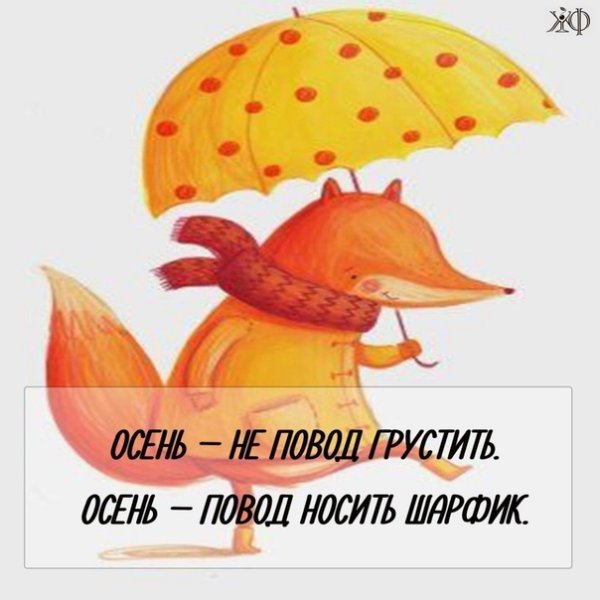 Пасмурное утро не повод для грусти