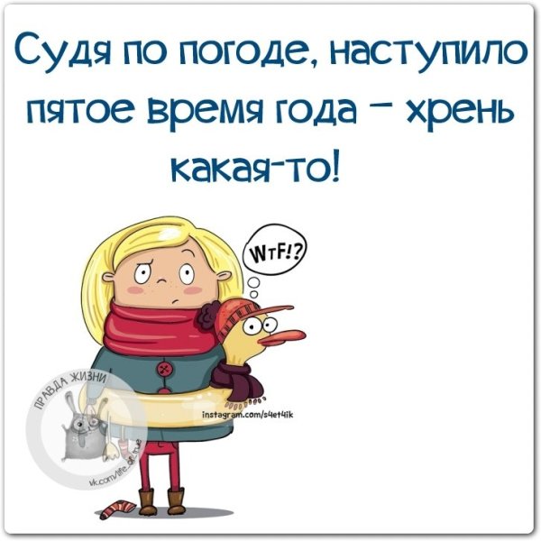 Смешные цитаты про погоду