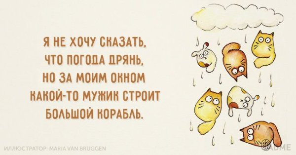 Прикольные фразы про погоду