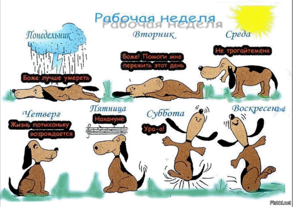 Рабочая неделя приколы