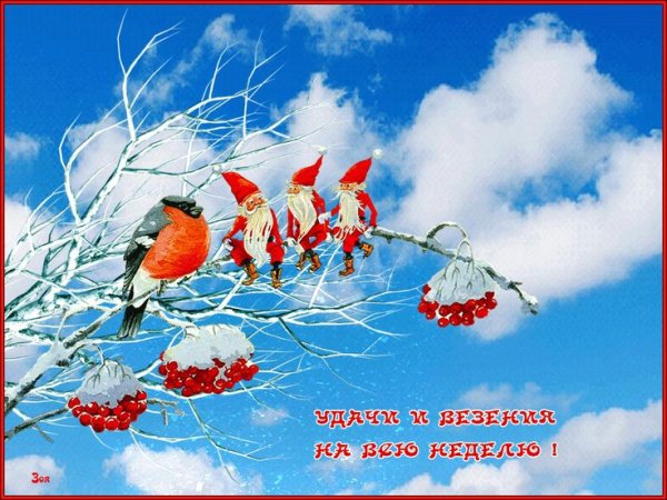 Хорошей недели зима
