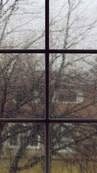 Дождливый вид из окна