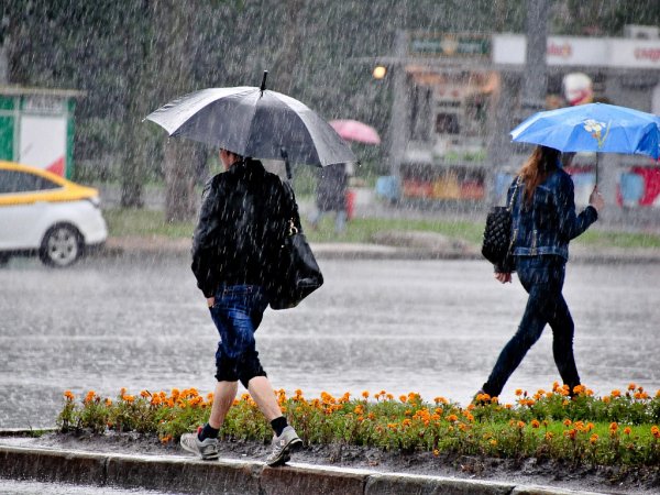 Холодное дождливое лето