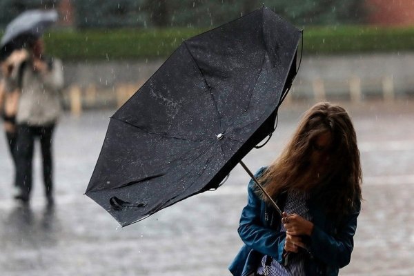 Сильный ветер и дождь