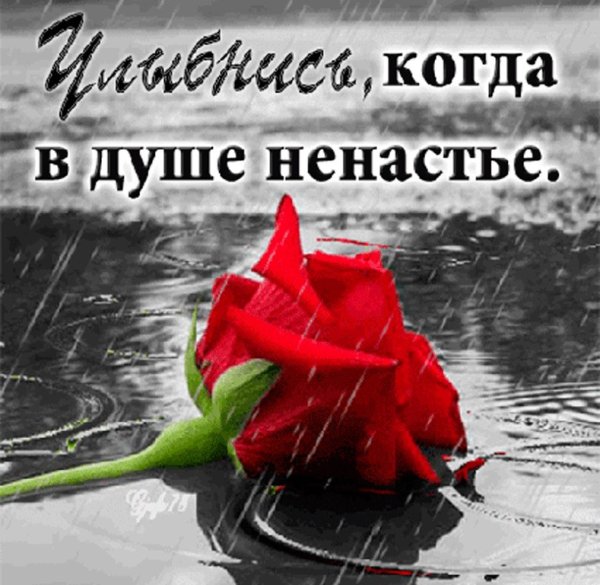 Отличного настроения в любую погоду