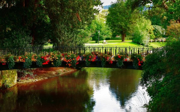 Парк Швейцарии цветы река