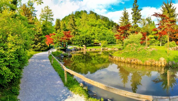 Парк Ботанический сад озеро осень