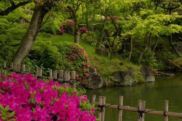 Япония парк природа