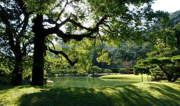 Зеленый парк в Японии