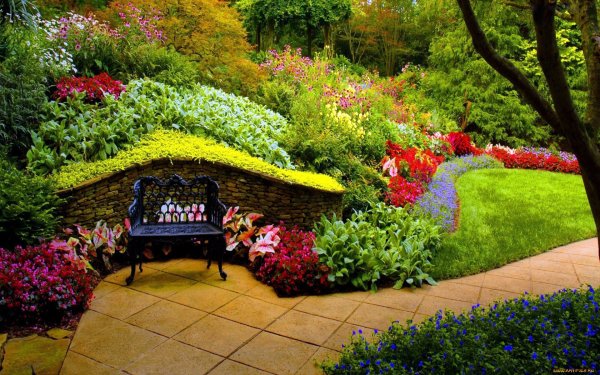 Красивый сад