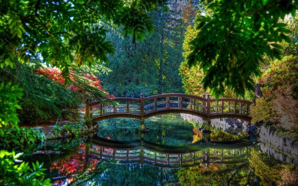 Красивый парк с мостиком