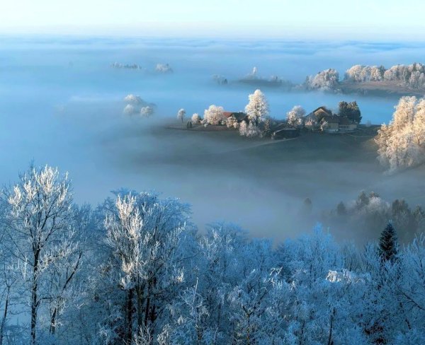 Туман зимой