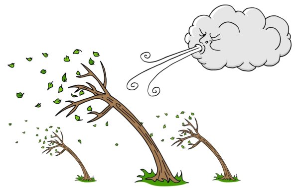 Ветер дует на дерево