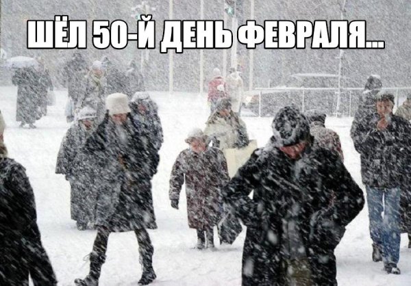 Февральские приколы