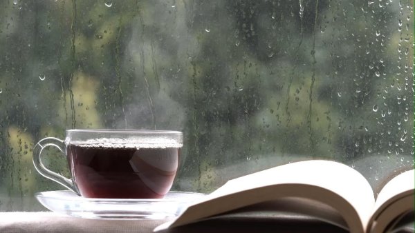 Книга и дождь за окном