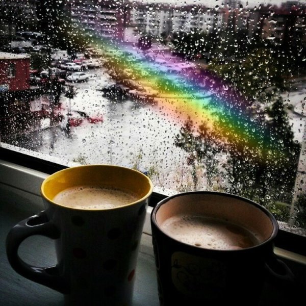 Чай и дождь за окном