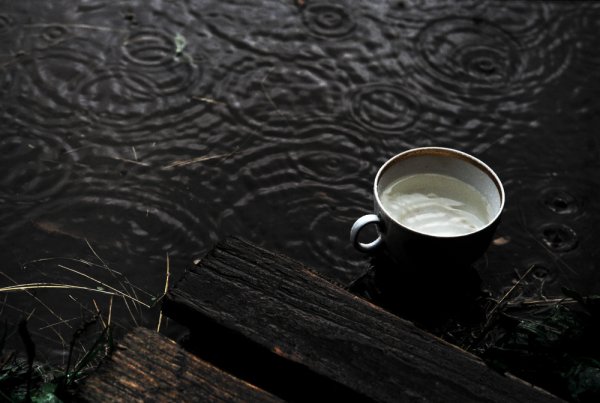 Чашка чая на фоне дождя