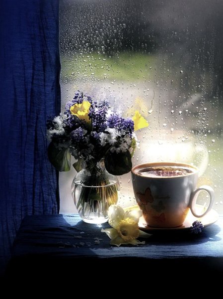 Доброе дождливое утро