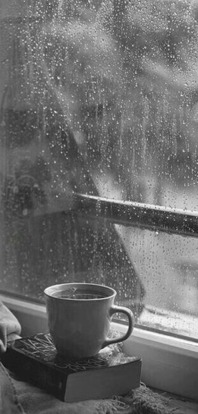 Чай и дождь за окном