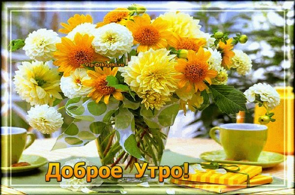 Солнечного утра и хорошего настроения