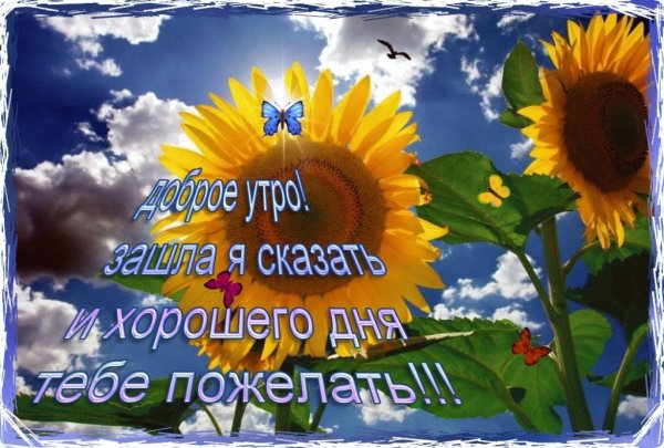 Открытка с добрым утром хорошего дня