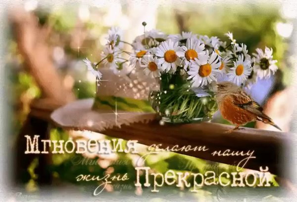 Прекрасного летнего утра удачи и