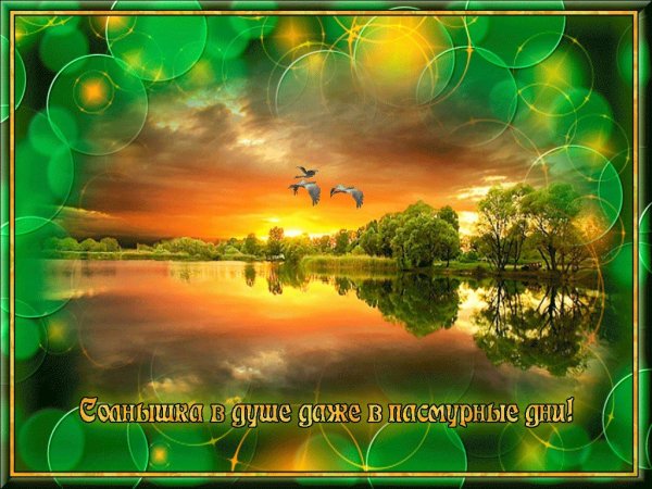 Добрые пожелания природа