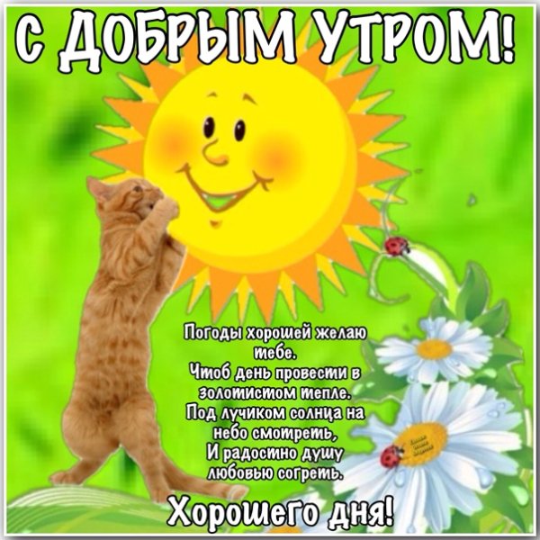 Сдобрвмсолнечным утром и хорошим днем