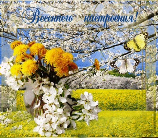 Солнечного весеннего дея