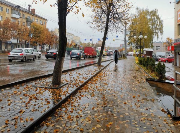 Осенний дождь в городе