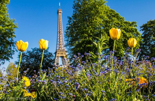 Франция весной