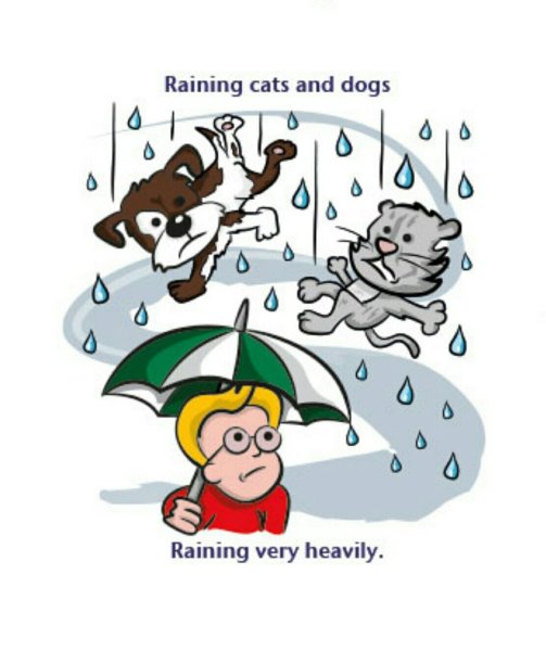 Идиома it's raining Cats and Dogs