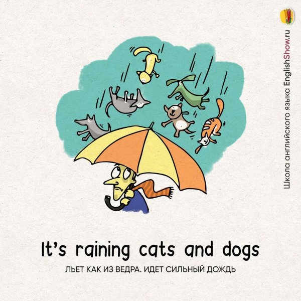 Rain Cats and Dogs идиома