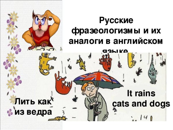 Идиомы d английском языке