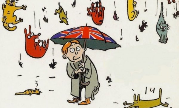Идиомы raining Cats and Dogs