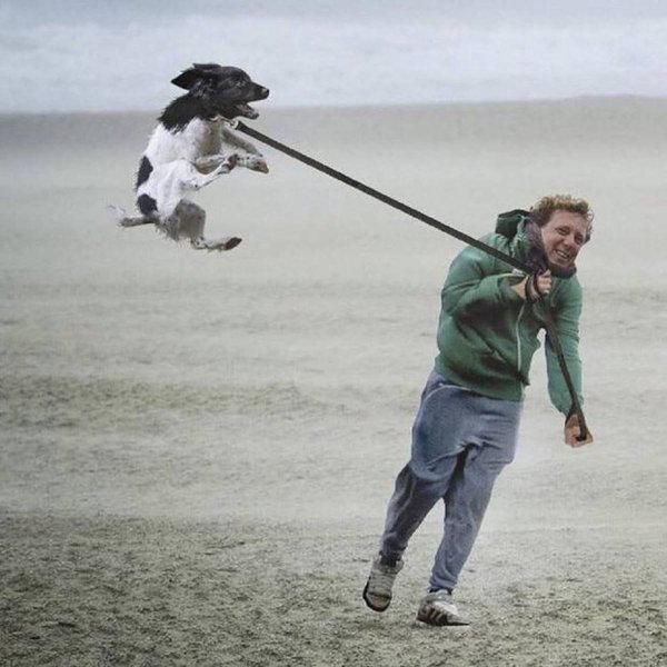 Сильный ветер прикол