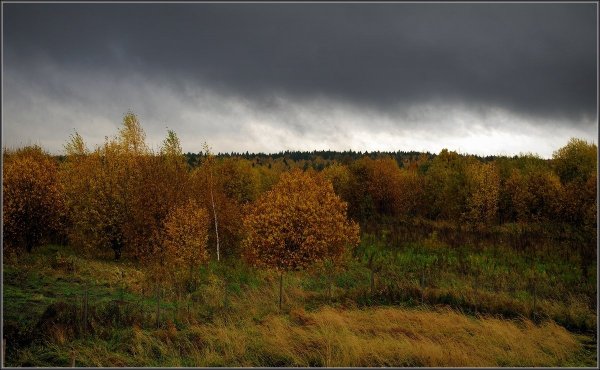 Пасмурное небо осень