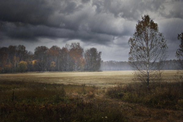 Пасмурная природа