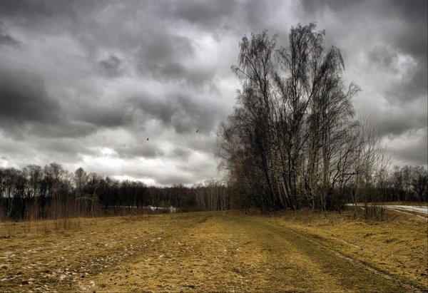 Пасмурный день