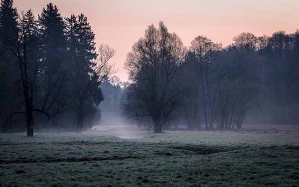 Туман ночью