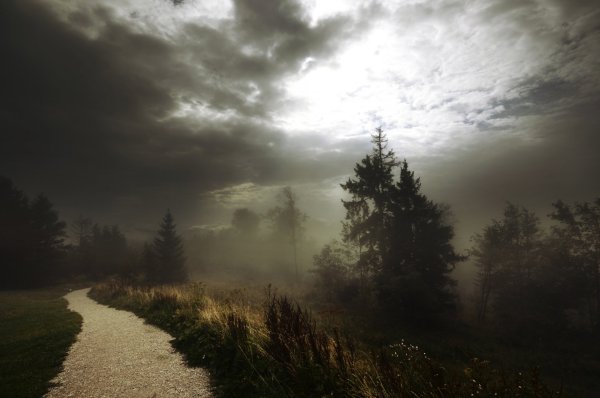 Мрачный пейзаж