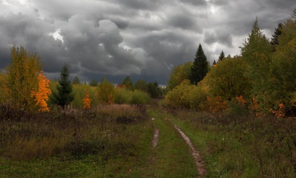 Осенний пейзаж пасмурный